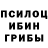 Псилоцибиновые грибы прущие грибы Slade Western