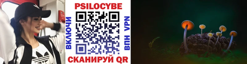 OMG ссылка  Судак  Псилоцибиновые грибы Psilocybine cubensis  где найти  